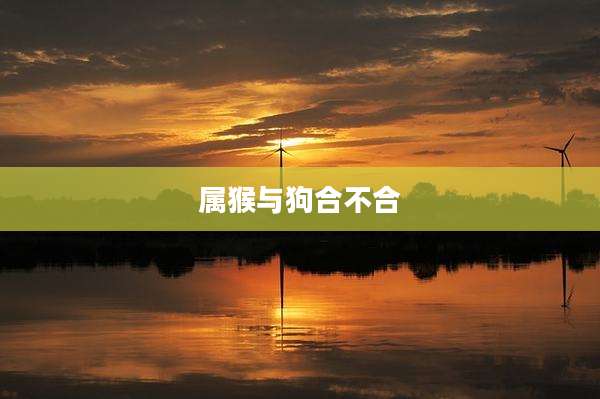 属猴与狗合不合