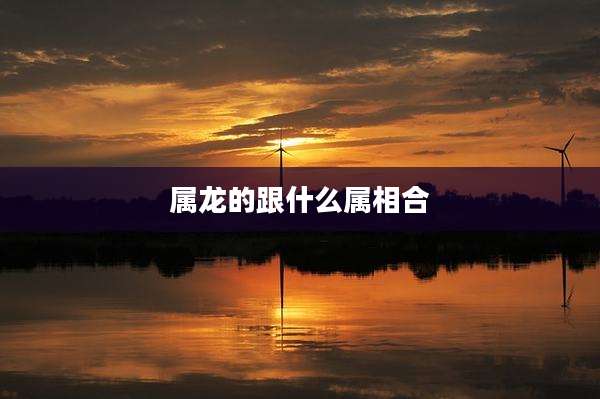 属龙的跟什么属相合