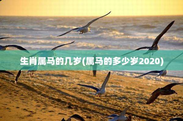 生肖属马的几岁(属马的多少岁2020)
