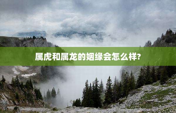 属虎和属龙的姻缘会怎么样?