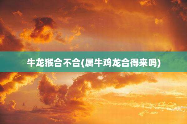 牛龙猴合不合(属牛鸡龙合得来吗)