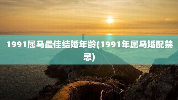 1991属马最佳结婚年龄(1991年属马婚配禁忌)