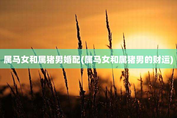 属马女和属猪男婚配(属马女和属猪男的财运)