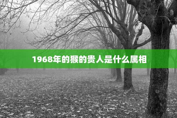1968年的猴的贵人是什么属相
