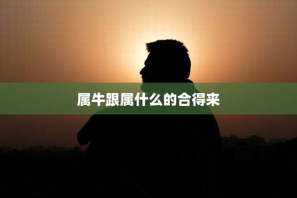 属牛跟属什么的合得来