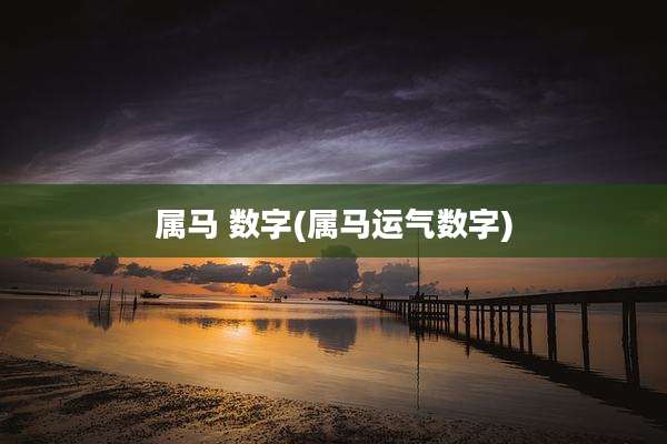 属马 数字(属马运气数字)