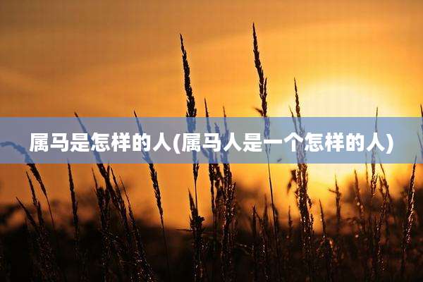 属马是怎样的人(属马人是一个怎样的人)