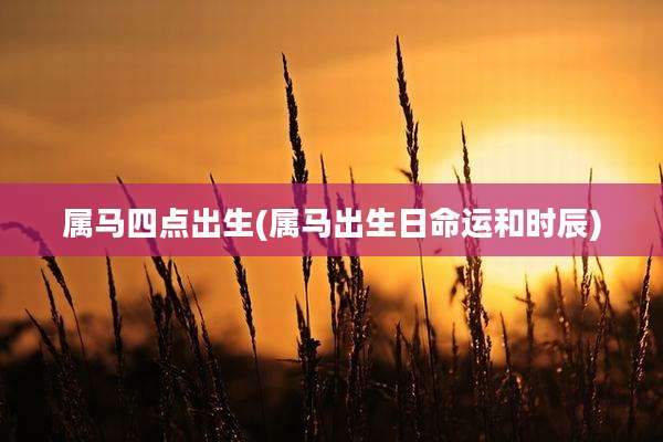属马四点出生(属马出生日命运和时辰)