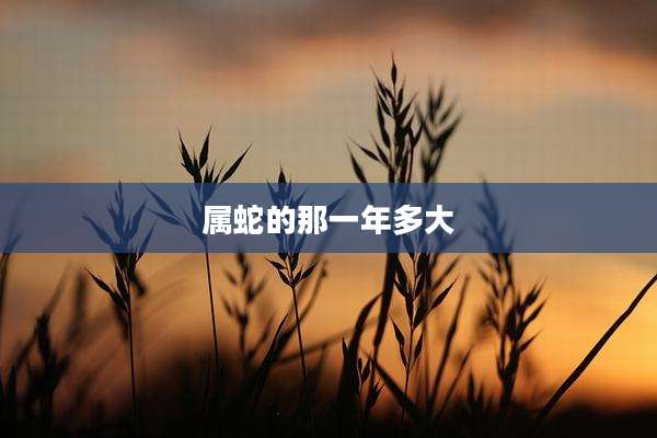 属蛇的那一年多大