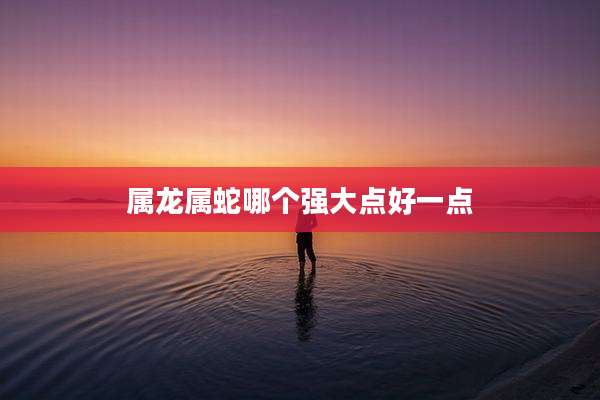 属龙属蛇哪个强大点好一点