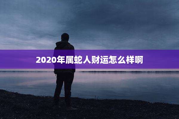 2020年属蛇人财运怎么样啊