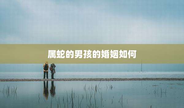 属蛇的男孩的婚姻如何