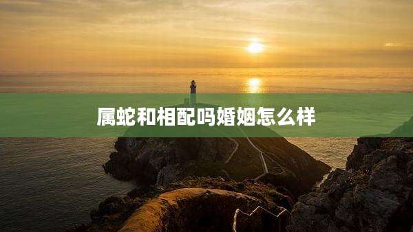 属蛇和相配吗婚姻怎么样