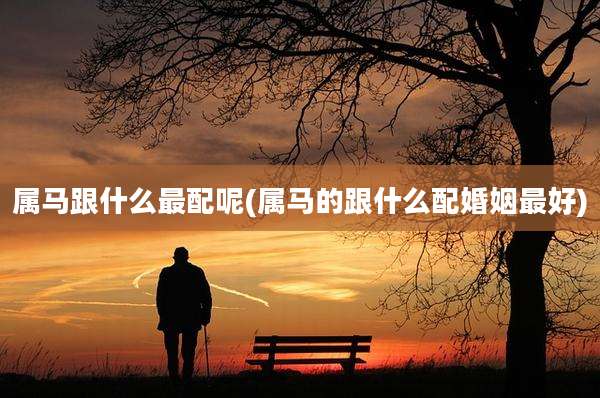 属马跟什么最配呢(属马的跟什么配婚姻最好)