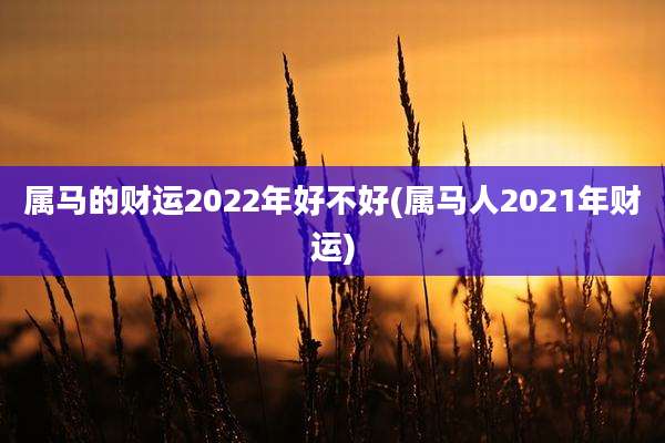 属马的财运2022年好不好(属马人2021年财运)