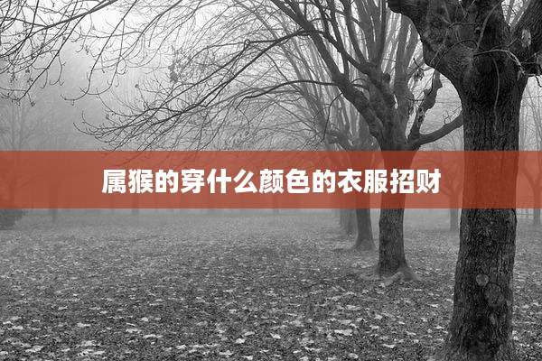 属猴的穿什么颜色的衣服招财