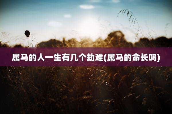 属马的人一生有几个劫难(属马的命长吗)