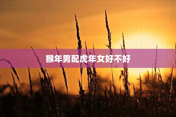 猴年男配虎年女好不好