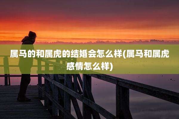 属马的和属虎的结婚会怎么样(属马和属虎感情怎么样)