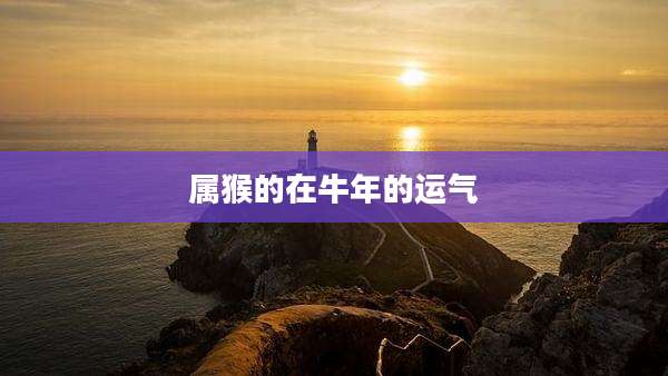 属猴的在牛年的运气