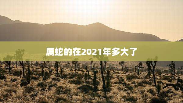 属蛇的在2021年多大了