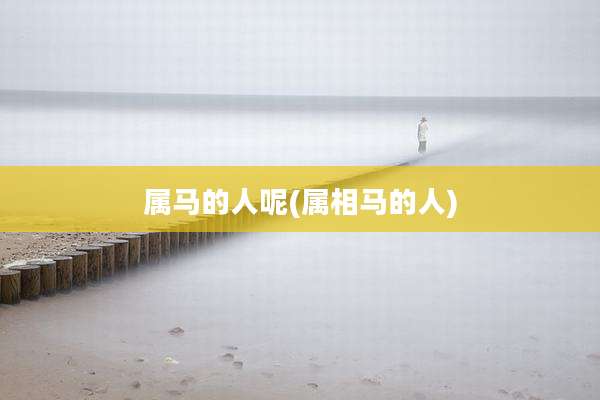 属马的人呢(属相马的人)