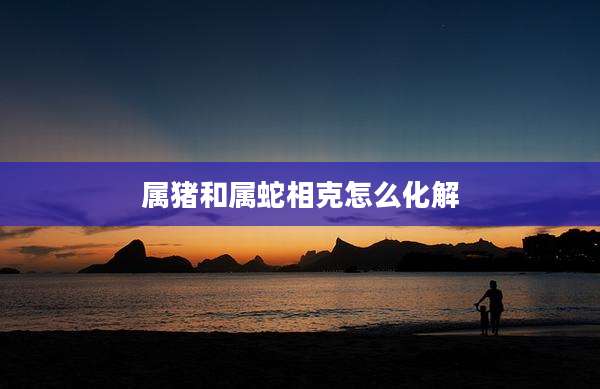 属猪和属蛇相克怎么化解