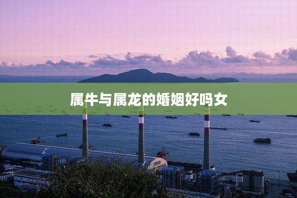 属牛与属龙的婚姻好吗女