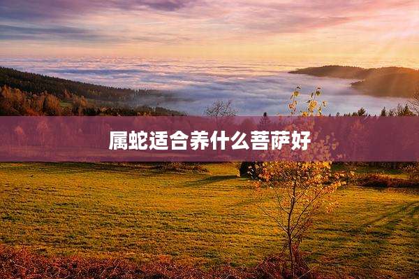 属蛇适合养什么菩萨好