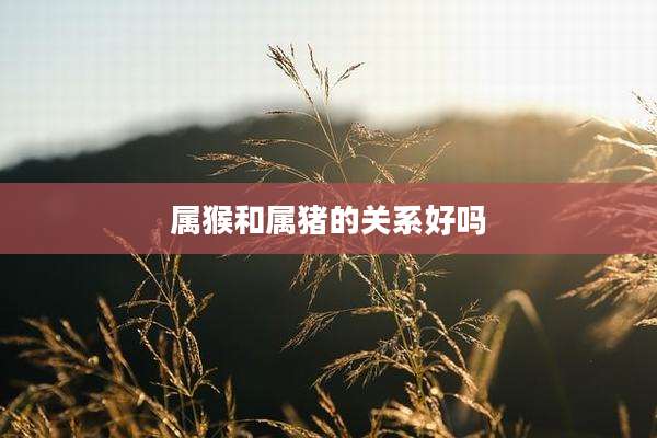 属猴和属猪的关系好吗