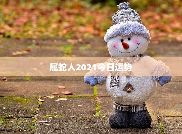 属蛇人2021今日运势