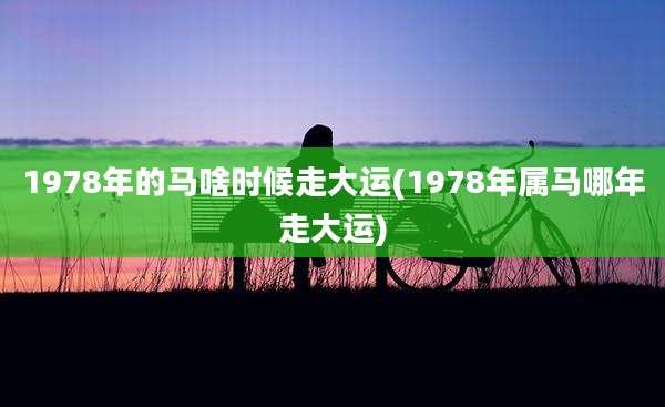 1978年的马啥时候走大运(1978年属马哪年走大运)