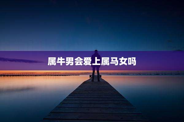 属牛男会爱上属马女吗