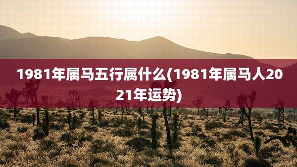 1981年属马五行属什么(1981年属马人2021年运势)