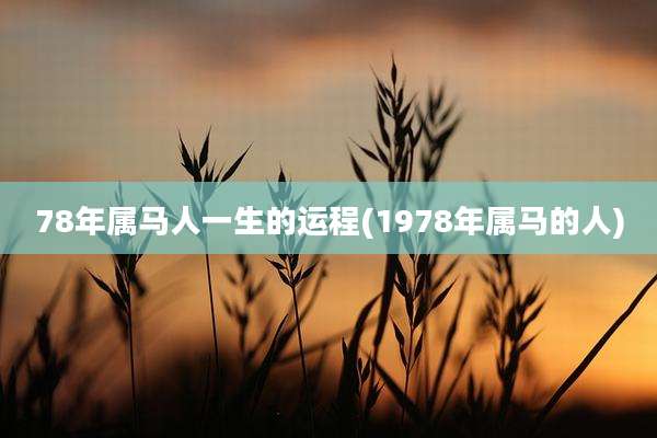 78年属马人一生的运程(1978年属马的人)