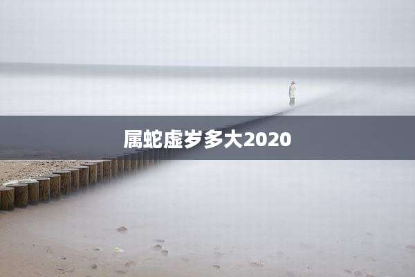 属蛇虚岁多大2020