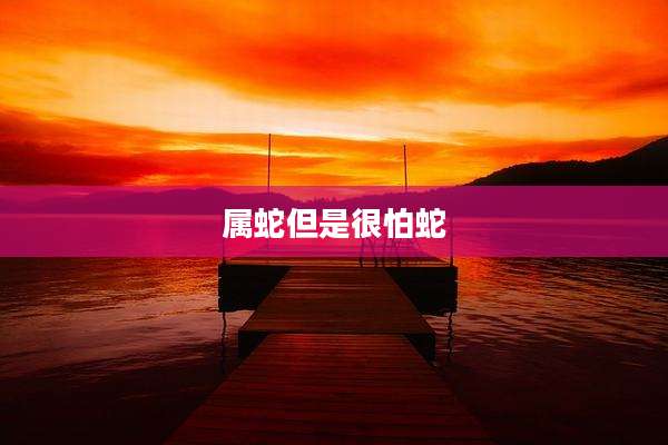 属蛇但是很怕蛇