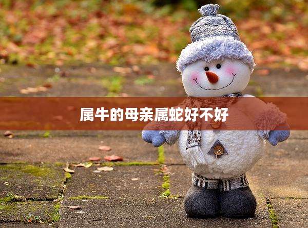 属牛的母亲属蛇好不好