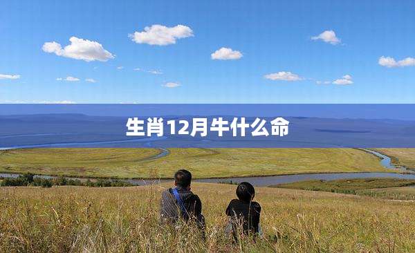 生肖12月牛什么命