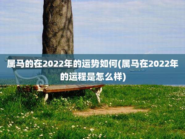 属马的在2022年的运势如何(属马在2022年的运程是怎么样)