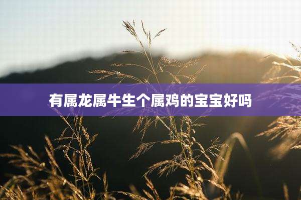 有属龙属牛生个属鸡的宝宝好吗