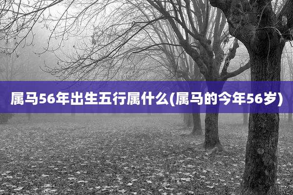 属马56年出生五行属什么(属马的今年56岁)