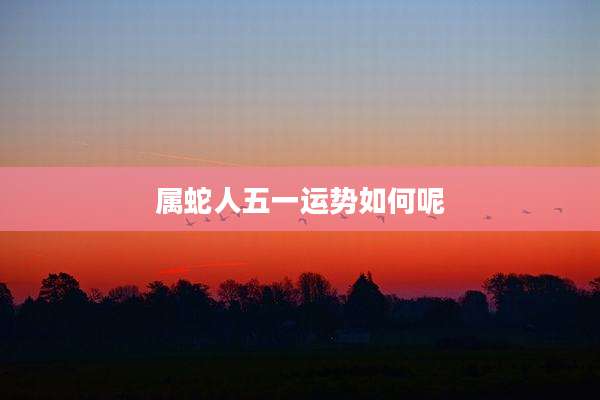 属蛇人五一运势如何呢