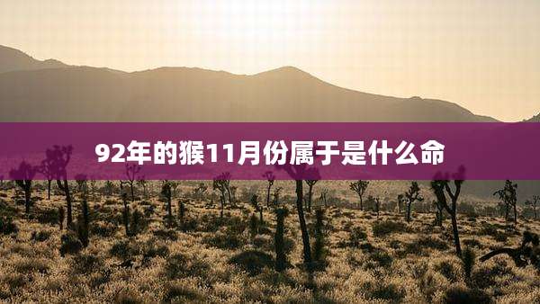 92年的猴11月份属于是什么命