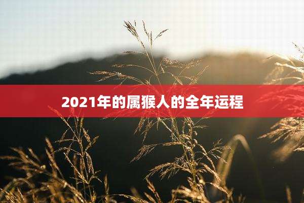 2021年的属猴人的全年运程