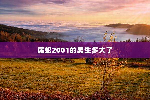 属蛇2001的男生多大了