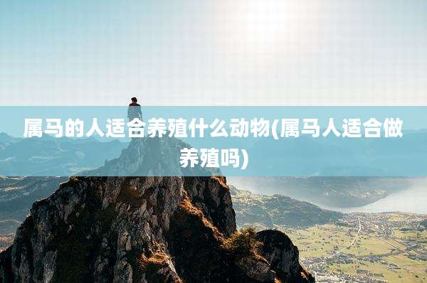 属马的人适合养殖什么动物(属马人适合做养殖吗)