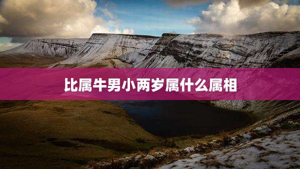 比属牛男小两岁属什么属相