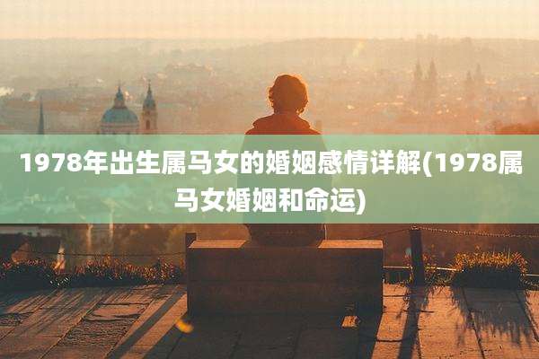 1978年出生属马女的婚姻感情详解(1978属马女婚姻和命运)