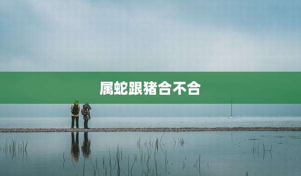 属蛇跟猪合不合